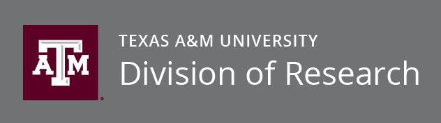 Division of Research Horizontal Logo on Grey Background