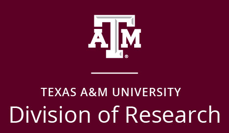 Division of Research Stacked Logo on Maroon Background