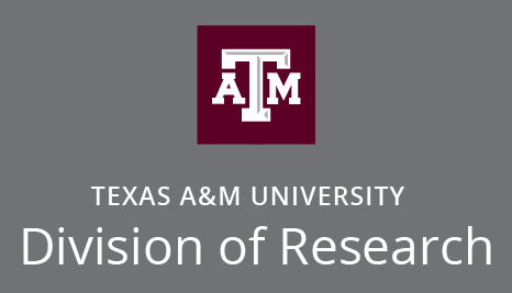 Division of Research Stacked Logo on Grey Background